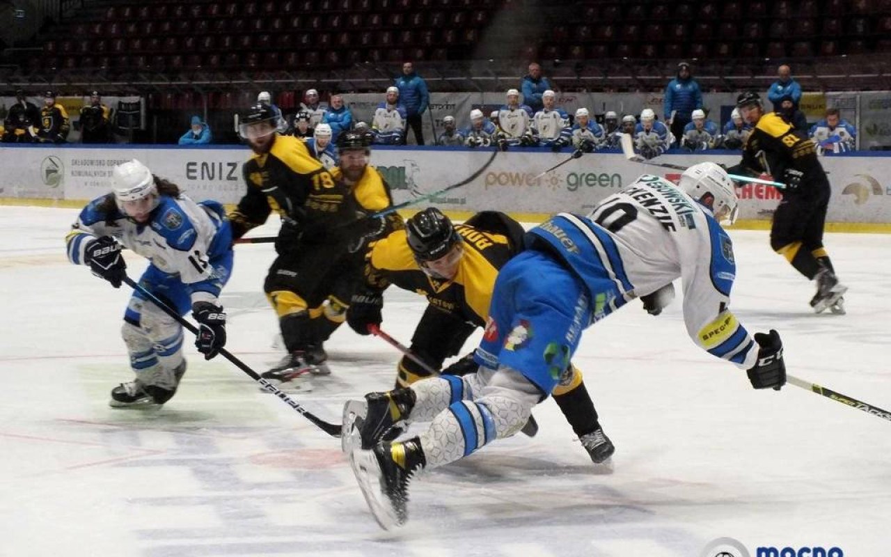 Dariusz Wanat znów biało-niebieski