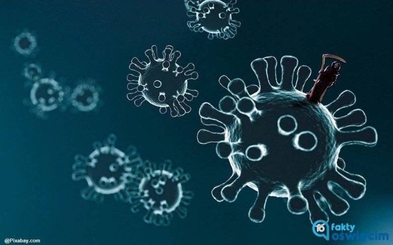 COVID-19. Największa liczba zgonów w powiecie