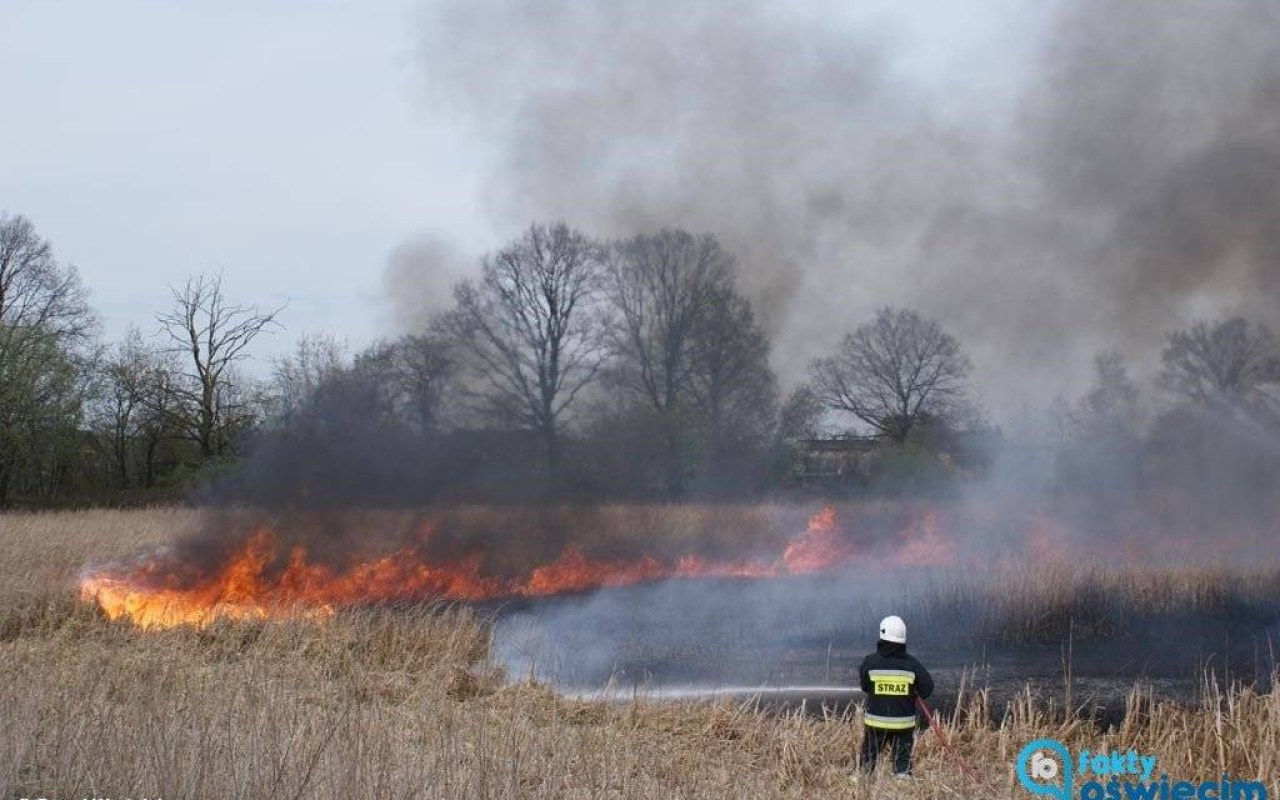 Podpalił trawę. Mógł zginać w pożarze