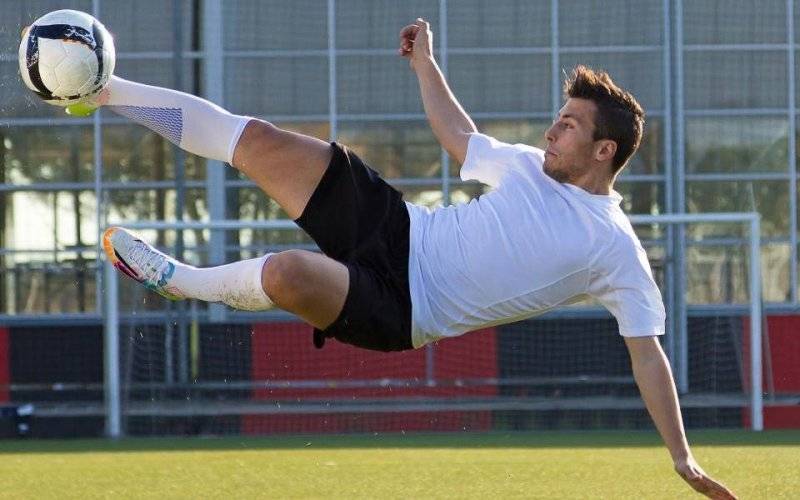 Pewne zwycięstwo Niwy