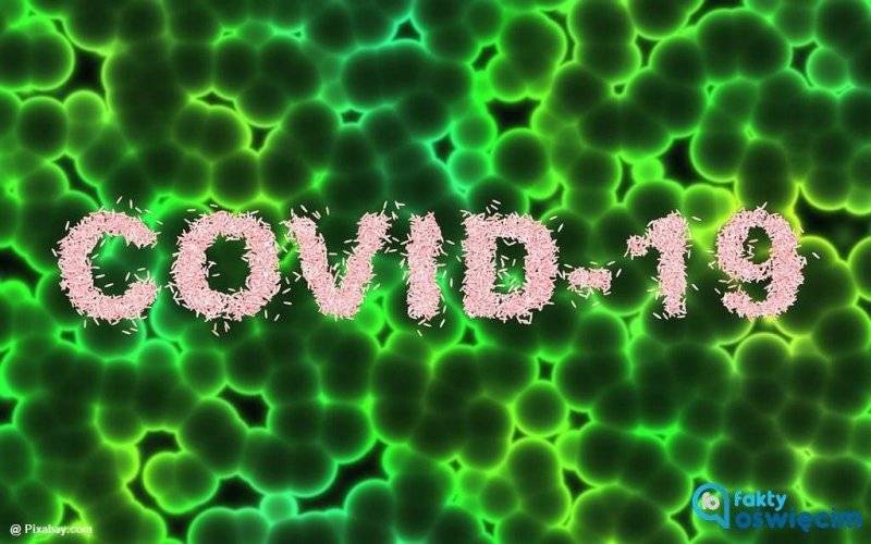 COVID-19. Pierwsza doba bez stwierdzonych zakażeń