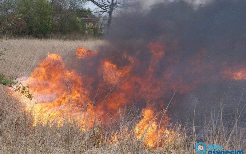 Stop pożarom traw