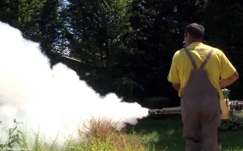 Odkomarzanie Oświęcimia rozpoczęte