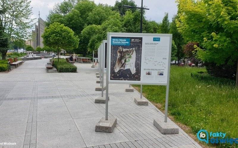 Śmieciowe skarby na ekologicznej wystawie w Oświęcimiu – FOTO