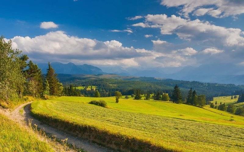 Dzisiaj Święto Małopolski – FILM