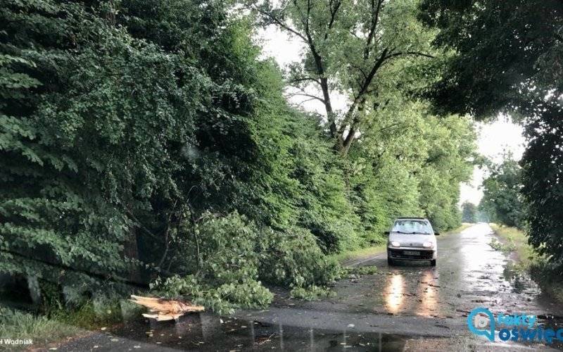 Burze i silny wiatr. Strażacy interweniowali ponad 30 razy – FOTO