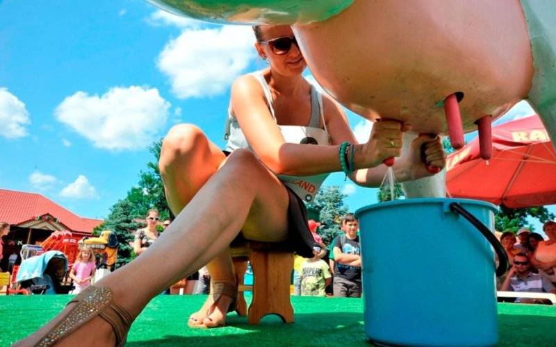 W sobotę 20. Mistrzostwa Polski w Dojeniu Sztucznej Krowy – FOTO