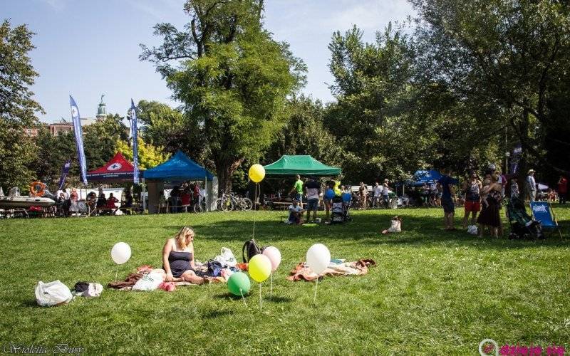 Przyjdź na piknik i poznaj organizacje pozarządowe