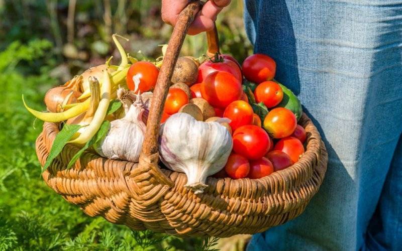 Lokalność to coś więcej niż tylko produkt