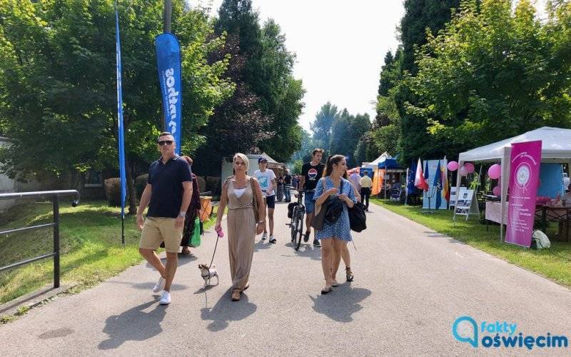 Słoneczny Piknik Organizacji Pozarządowych – FILM, FOTO