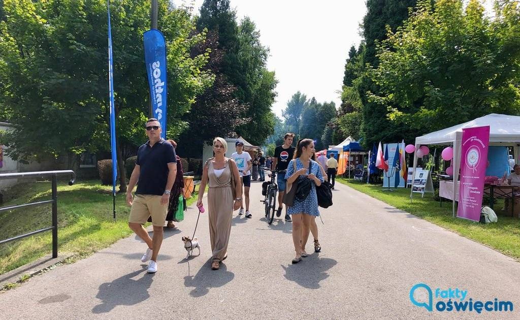 Słoneczny Piknik Organizacji Pozarządowych – FILM, FOTO