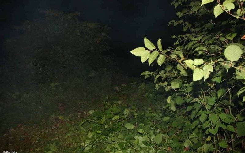 Tragiczny finał poszukiwań zaginionej kobiety