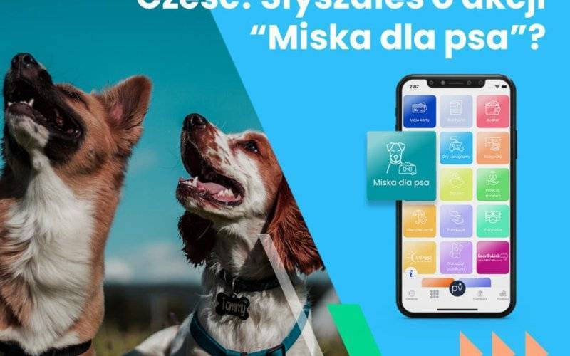 „Bilet kupujesz, miskę fundujesz”, czyli akcja miska dla psa