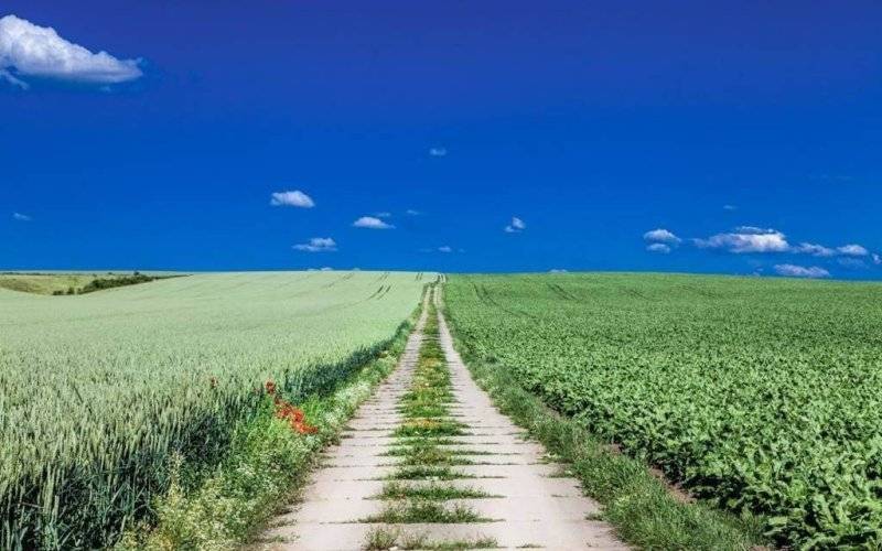 Można uzyskać fundusze na drogi dojazdowe do pól
