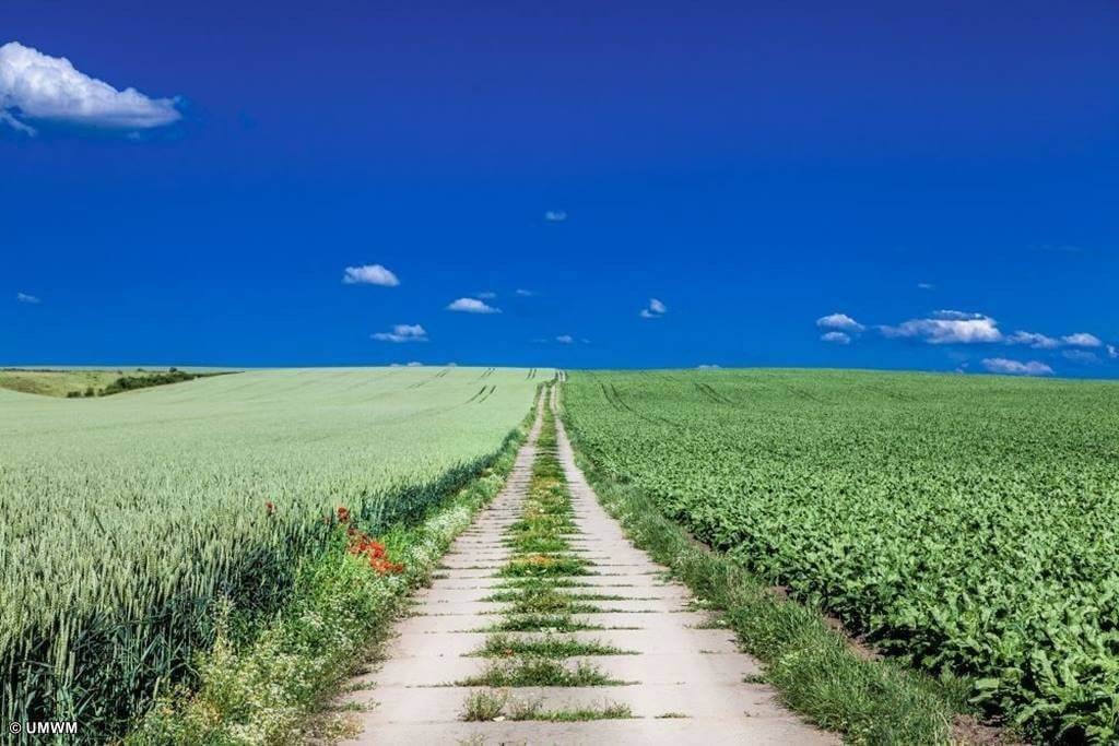 Można uzyskać fundusze na drogi dojazdowe do pól