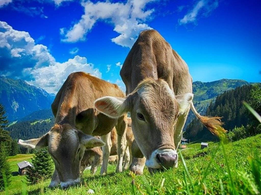Akcesoria przydatne w gospodarstwie. Co warto kupić?