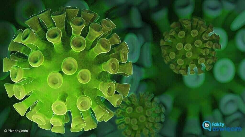 COVID-19 – RAPORT TYGODNIOWY – 17 STYCZNIA