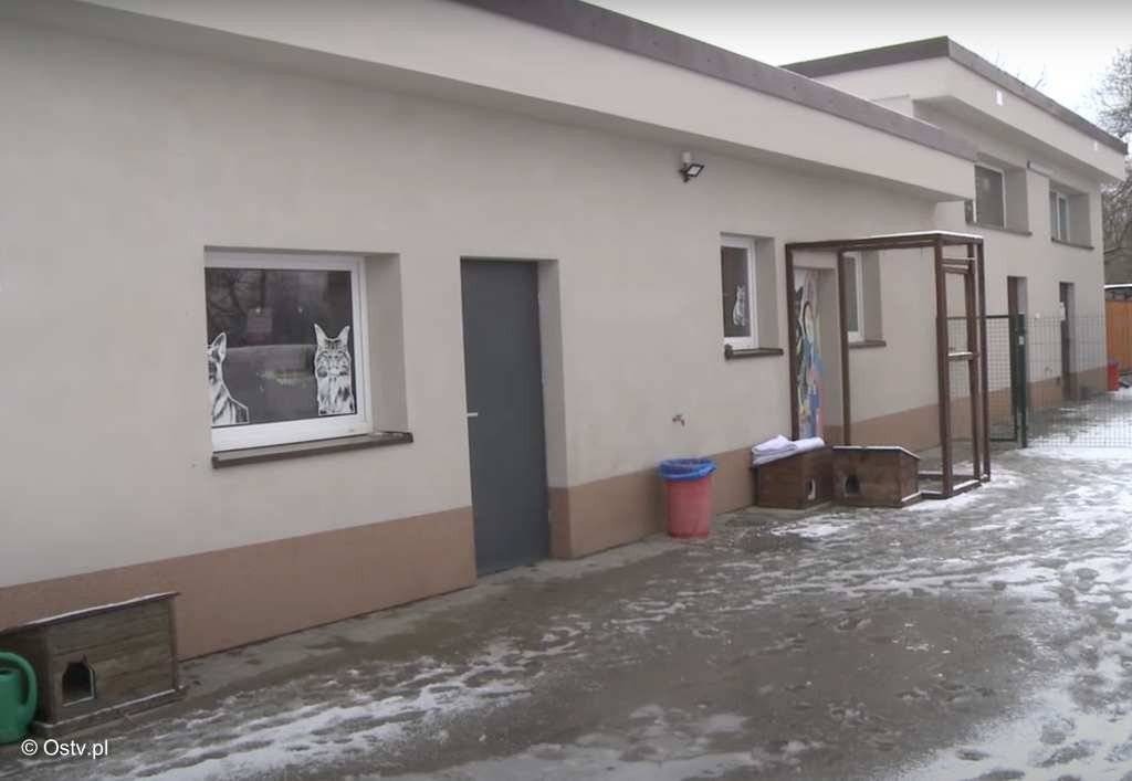 Oświęcimskie Wieści z ratusza – FILM