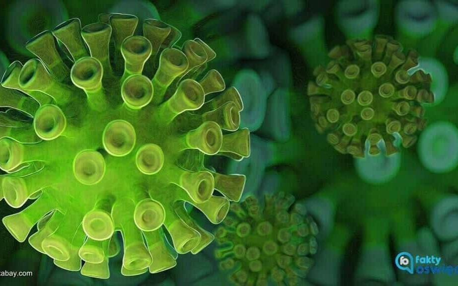 COVID-19 – RAPORT TYGODNIOWY – 24 STYCZNIA