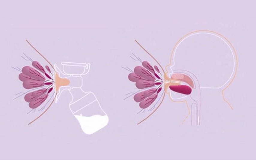 Odkryj świat produktów do pielęgnacji mamy i dziecka