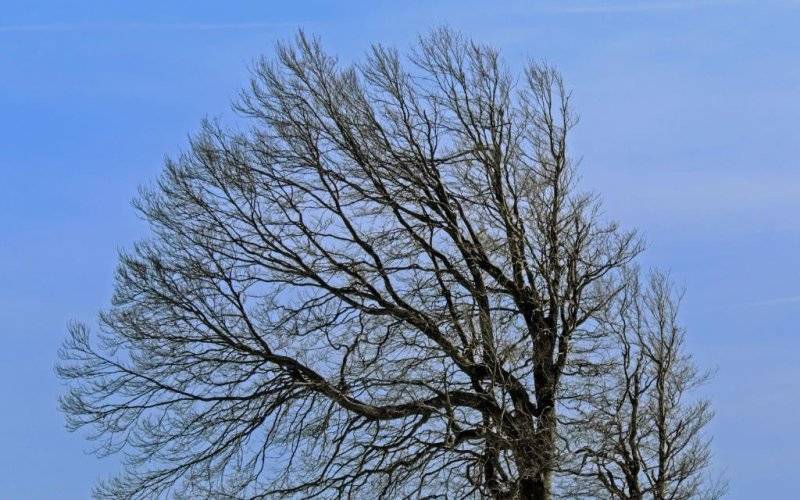 Wichury. Ostrzeżenia IMGW w całym powiecie