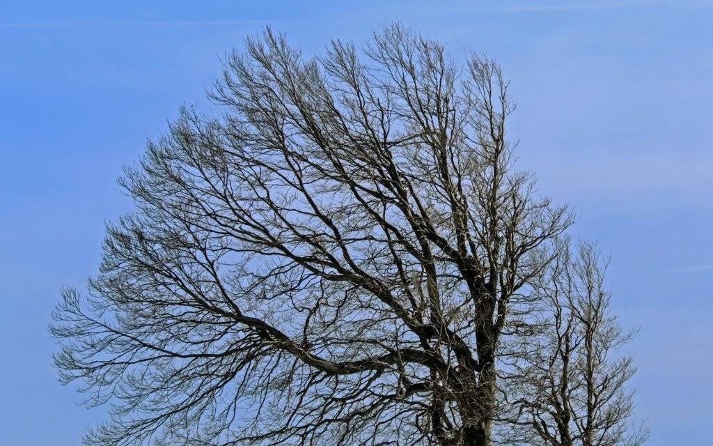 Wichury. Ostrzeżenia IMGW w całym powiecie