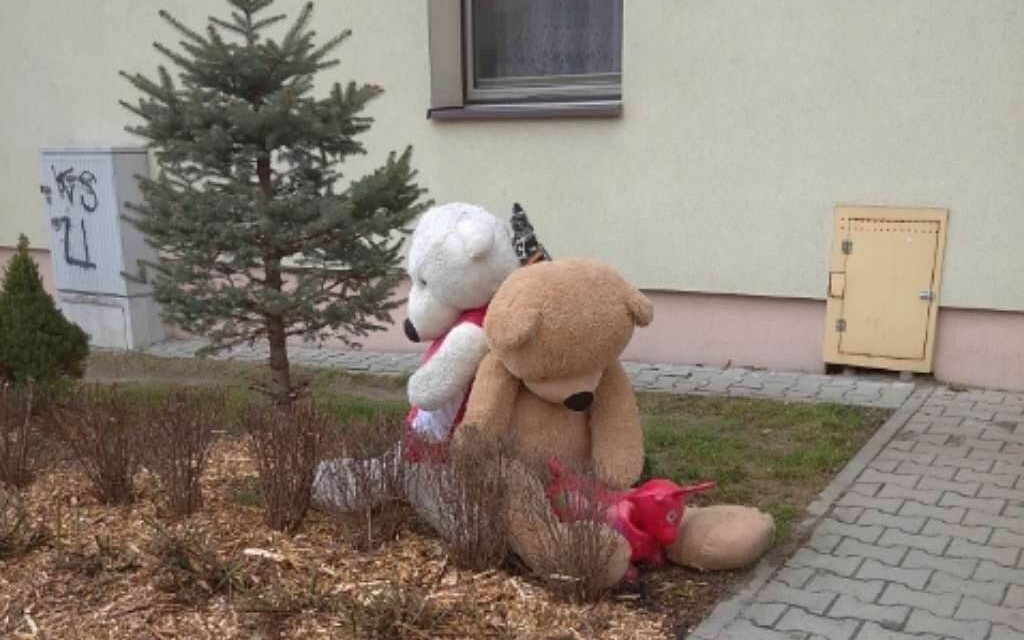 Ktokolwiek widział (miśki), ktokolwiek wie – FOTO