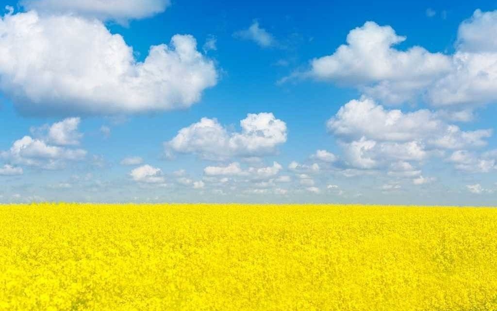 Starostowie oświęcimski i Dachau jednym głosem