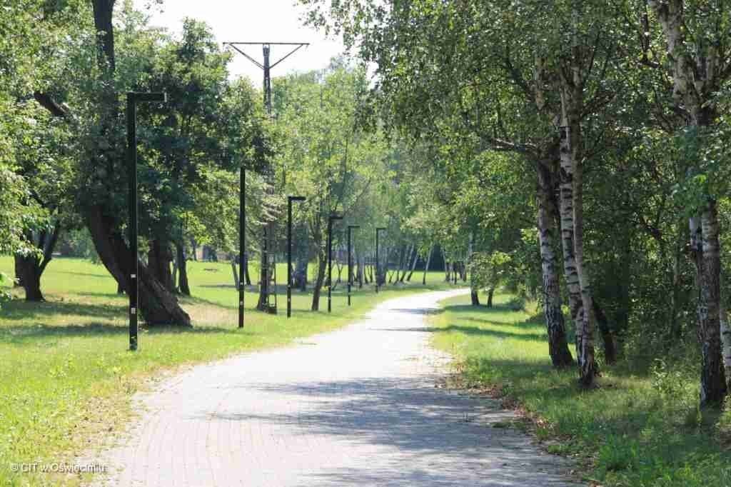 Radny Przewoźnik o nieomylności prezydenta Chwieruta