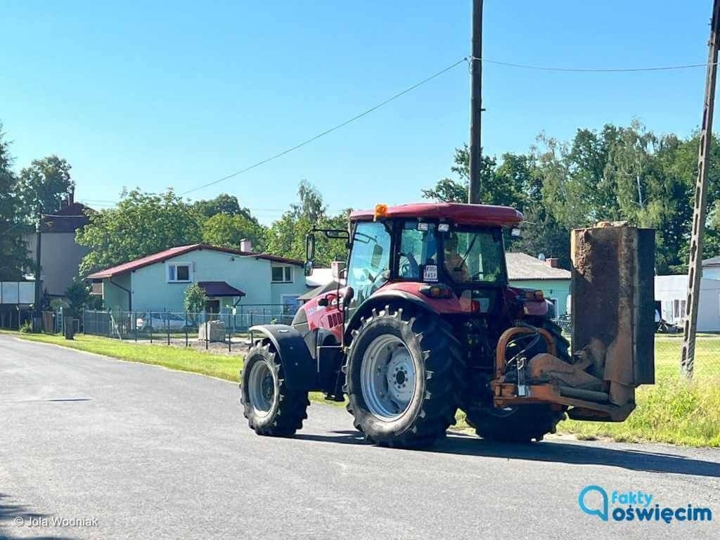 Koszenie wstrzymane, zwierzęta uratowane – FILMY, FOTO