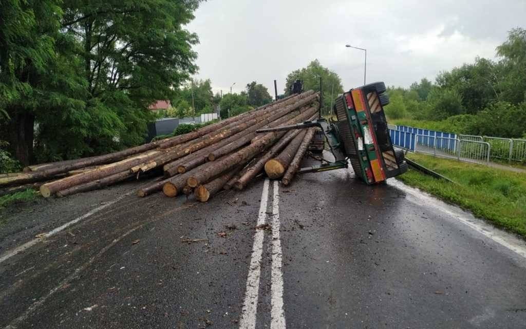 Poślizg podczas hamowania. Pnie na drodze