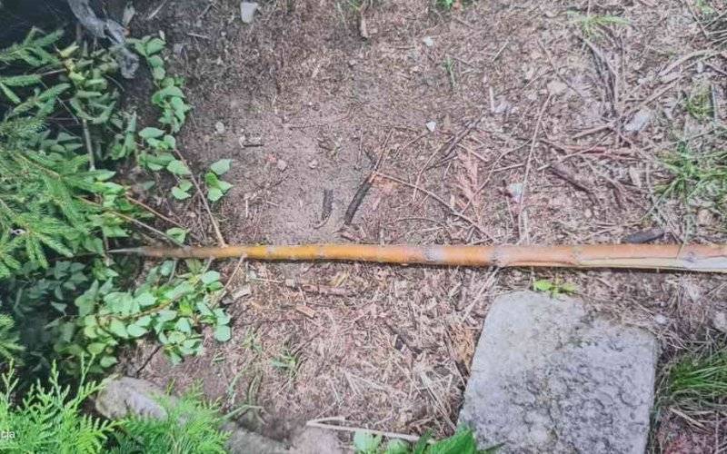 Ściął drzewo. 18-latek jest już w rękach policji – FOTO
