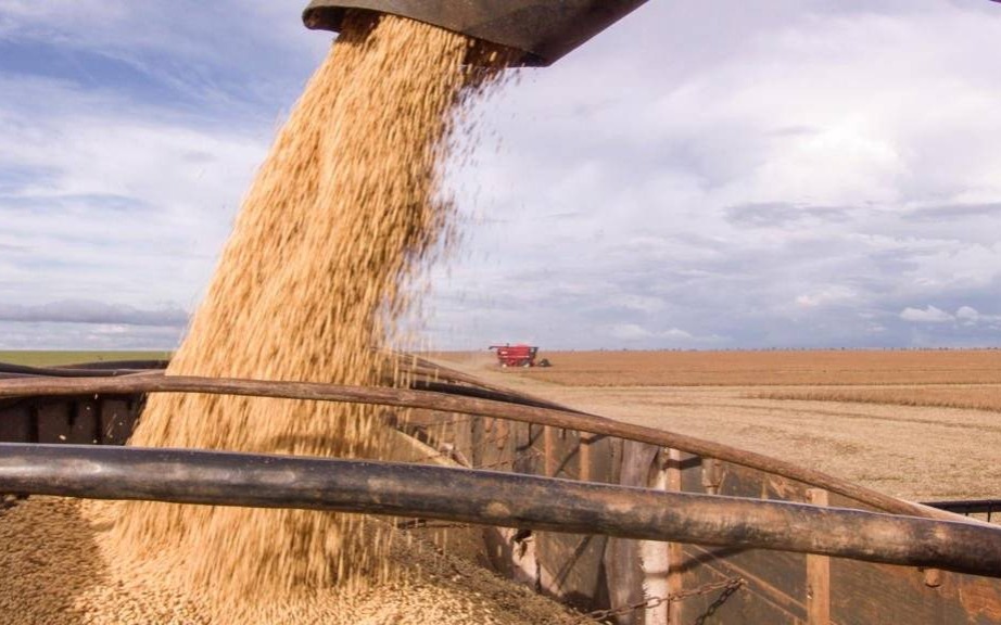 Dożynki w Przeciszowie z eFO