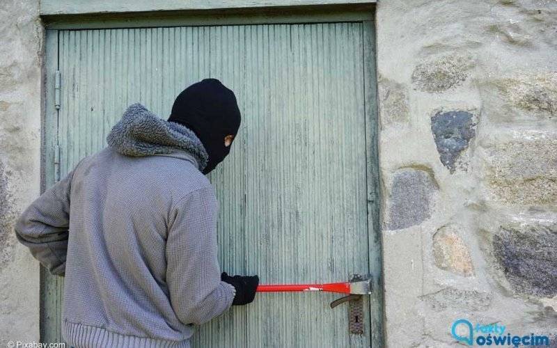 Kryminalni rozbili ośmioosobową szajkę przestępczą