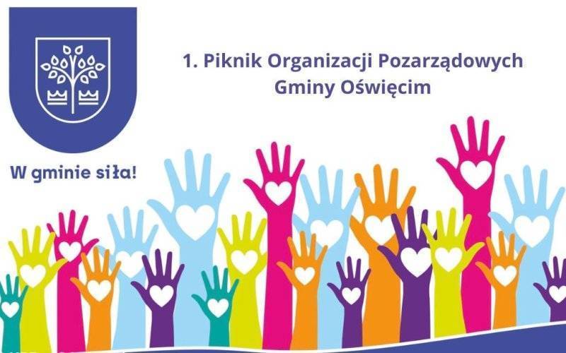 Organizacje zapraszają na piknik. Wszystkie atrakcje będą bezpłatne