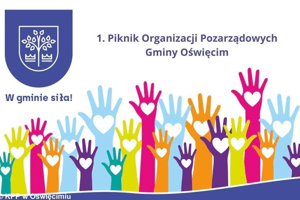 Organizacje zapraszają na piknik. Wszystkie atrakcje będą bezpłatne