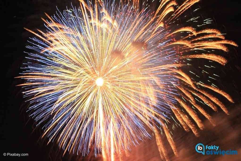 Zwierzęta dziękują prezydentowi Chwierutowi – FELIETON