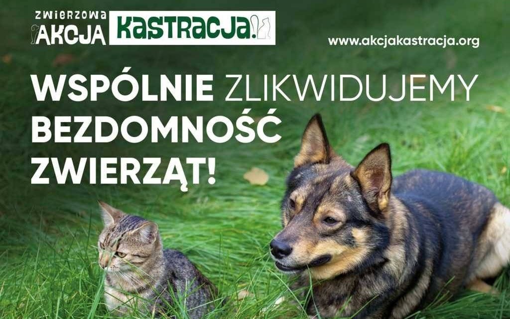 ZWIERZowa Akcja Kastracja