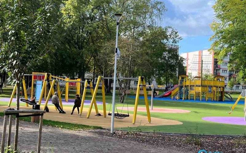 W parku Pokoju chcą tężnię, wybieg dla psów, ścieżki i zieleń. Wyniki ankiety