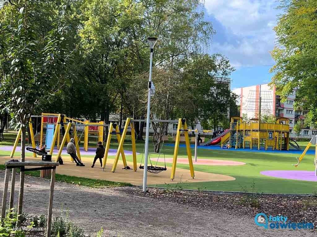 W parku Pokoju chcą tężnię, wybieg dla psów, ścieżki i zieleń. Wyniki ankiety