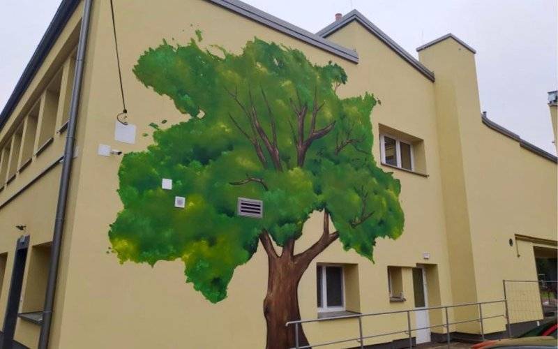 Na ścianie szkoły wyrosło drzewo, które oczyszcza powietrze