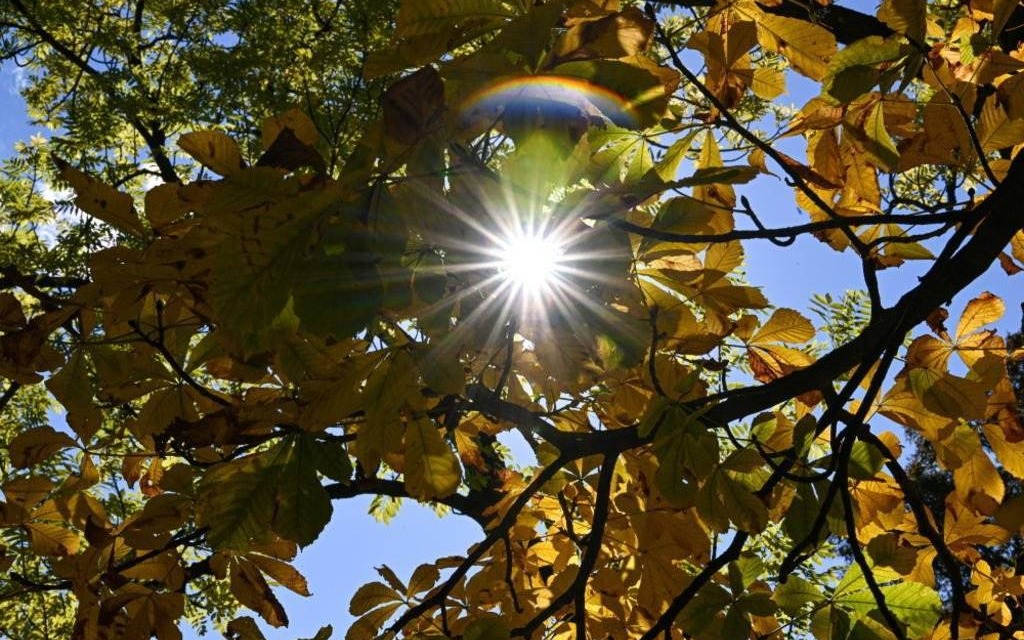 Meteorolog IMGW: ogrom ciepła nad Małopolską