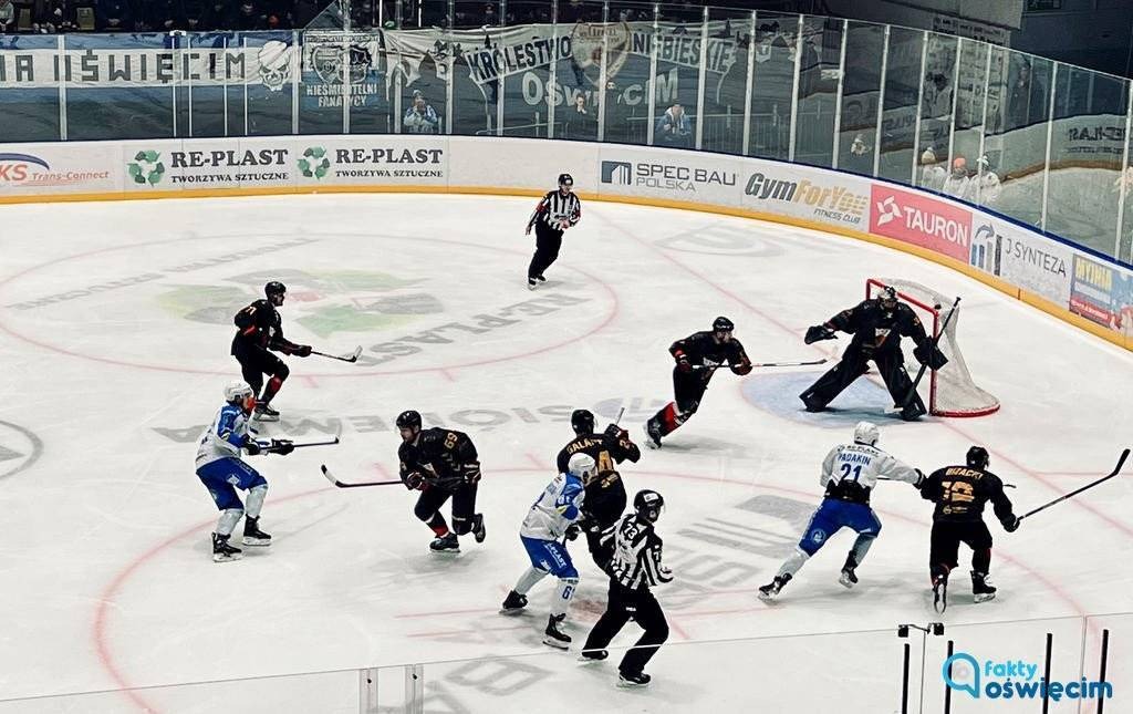 Przedświąteczna porażka z sąsiadem zza miedzy – FILM, FOTO