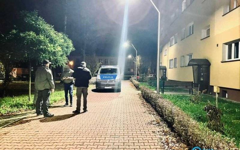 Sąd przedłużył areszt dla Norwega podejrzanego o zabójstwo i porwanie