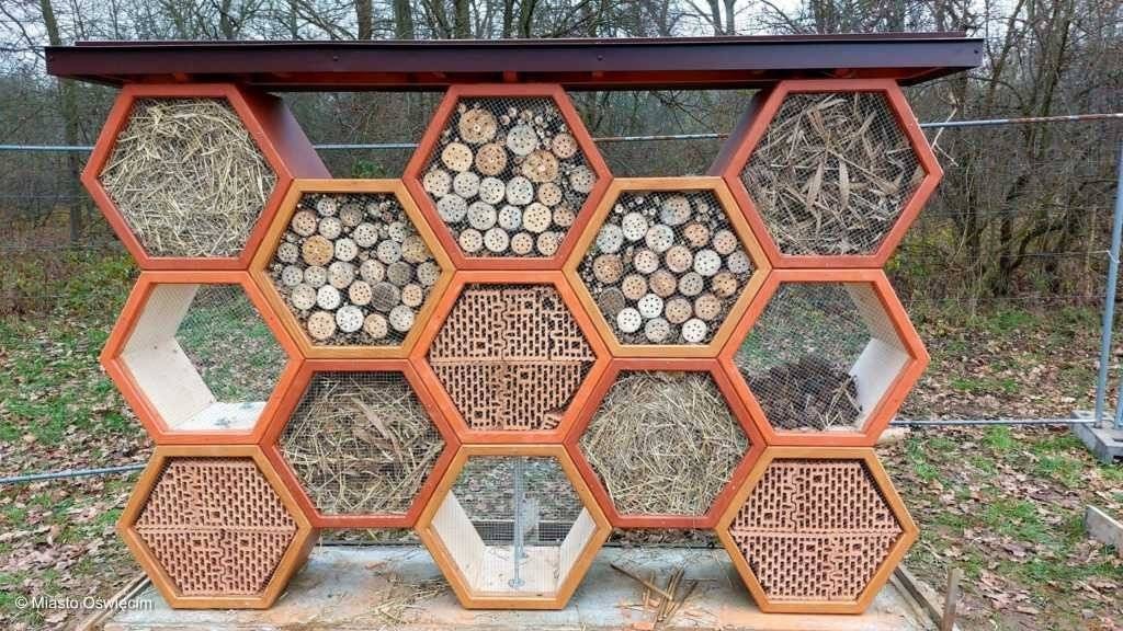 Hotel dla ptaków, ptasie trele i starorzecze Soły – FOTO