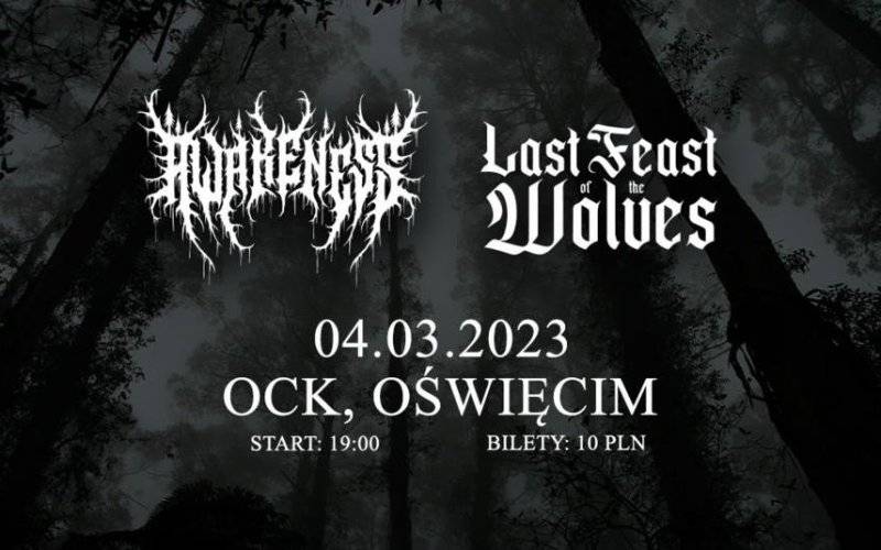 Kapele deathcore’owe na deskach OCK