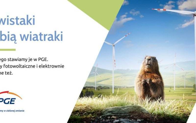 Wiosenna kampania wizerunkowa „PGE Prowadzimy w zielonej zmianie”