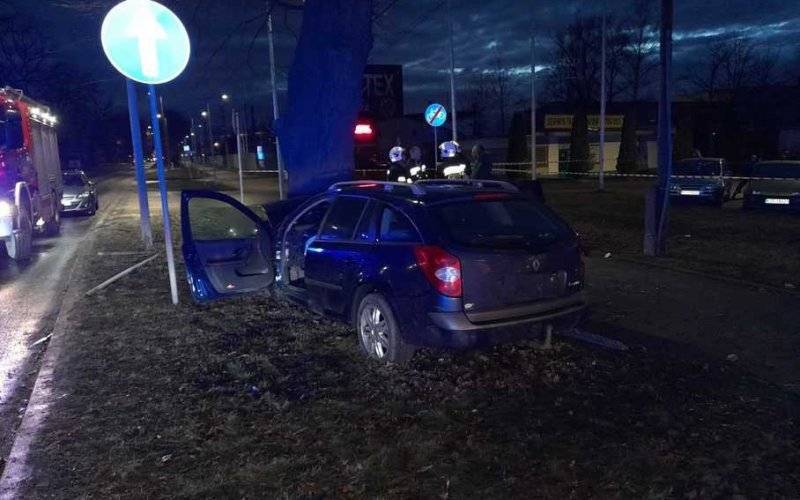 Renault uderzył w drzewo. Cztery osoby ranne – FOTO
