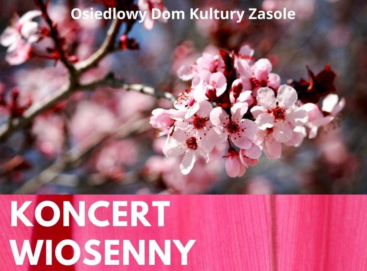 Wiosenne rytmy na koncercie sekcji wokalnych ODK Zasole i OCK