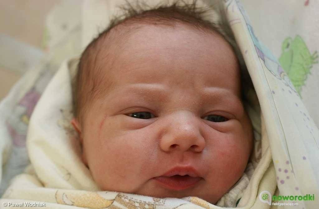 Noworodkowa galeria eFO – FOTO